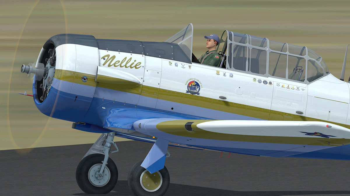 nellie4.jpg
