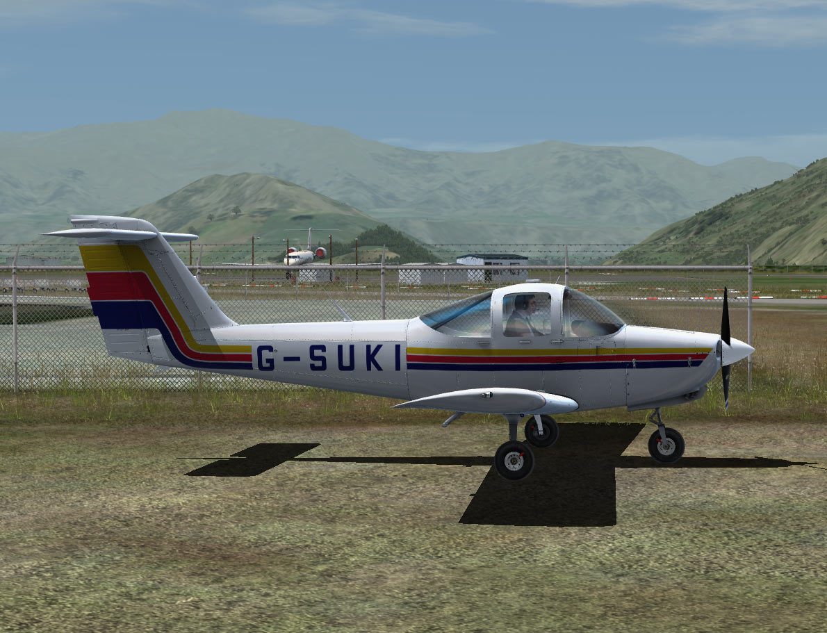 suki1.jpg